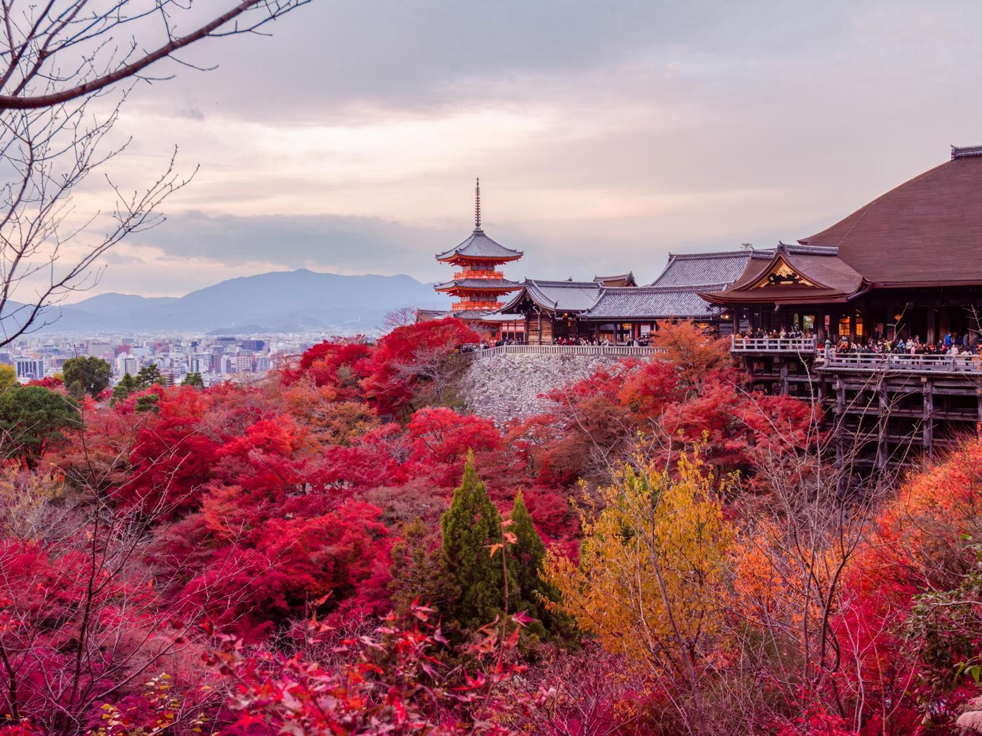 Stitch Hotel Kyoto Eksteriør billede